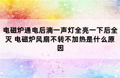 电磁炉通电后滴一声灯全亮一下后全灭 电磁炉风扇不转不加热是什么原因